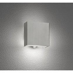 エクステリアライト/昼白色/要電気工事 OG254867NCR