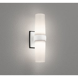 エクステリアライト/温白色/要電気工事 OG254894WR