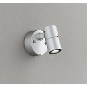エクステリアライト/昼白色/要電気工事 OG254921R2