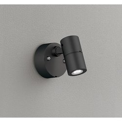 エクステリアライト/昼白色/要電気工事 OG254923R2