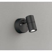 エクステリアライト/昼白色/要電気工事 OG254923R2