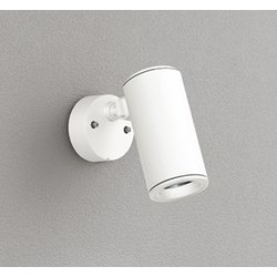 エクステリアライト/昼白色/要電気工事 OG254944P1
