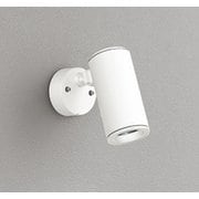 エクステリアライト/昼白色/要電気工事 OG254944P1