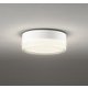 エクステリアライト/電球色/要電気工事 OG254960LR