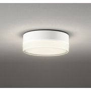 エクステリアライト/電球色/要電気工事 OG254960LR