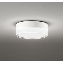 エクステリアライト/昼白色/要電気工事 OG254960NR