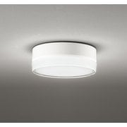 エクステリアライト/昼白色/要電気工事 OG254960NR