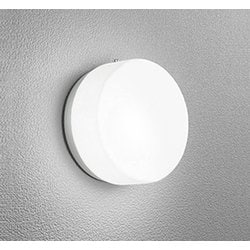 エクステリアライト/昼白色/要電気工事 OG254977NCR