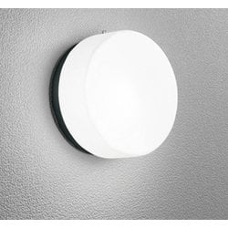 エクステリアライト/昼白色/要電気工事 OG254978NCR