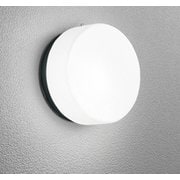 エクステリアライト/昼白色/要電気工事 OG254978NCR