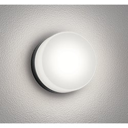 エクステリアライト/温白色/要電気工事 OG254982WR