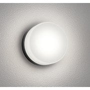 エクステリアライト/温白色/要電気工事 OG254982WR