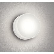 エクステリアライト/温白色/要電気工事 OG254983WR