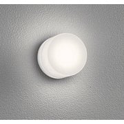 エクステリアライト/温白色/要電気工事 OG264001WR