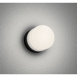 エクステリアライト/温白色/要電気工事 OG264004WR