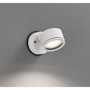 エクステリアライト/温白色/要電気工事 OG264026WR