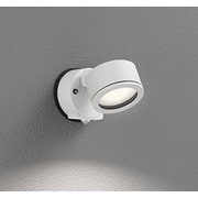 エクステリアライト/温白色/要電気工事 OG264027WR