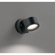 エクステリアライト/温白色/要電気工事 OG264029WR