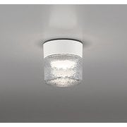 エクステリアライト/温白色/要電気工事 OG264046WR