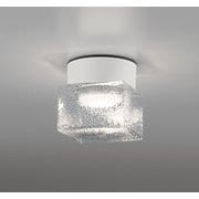 エクステリアライト/温白色/要電気工事 OG264048WR