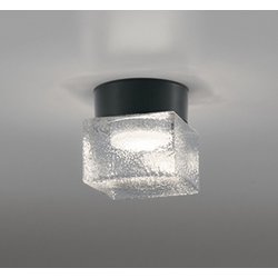 エクステリアライト/温白色/要電気工事 OG264049WR