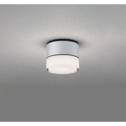 エクステリアライト/温白色/要電気工事 OG264059WR
