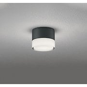エクステリアライト/温白色/要電気工事 OG264061WR