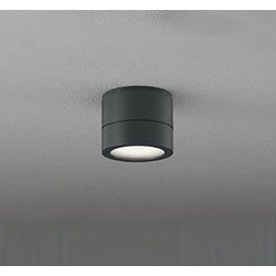 エクステリアライト/温白色/要電気工事 OG264063WR