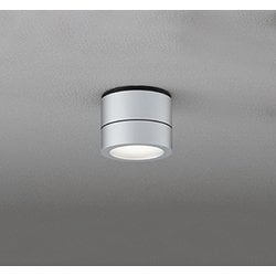 エクステリアライト/温白色/要電気工事 OG264064WR