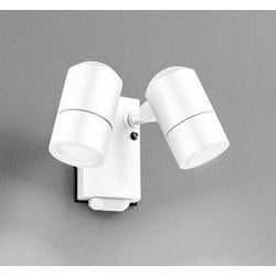 エクステリアライト/昼白色/要電気工事 OG264088NR