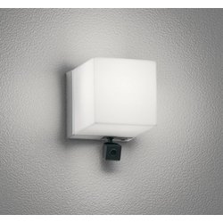 エクステリアライト/昼白色/要電気工事 OG264111NCR