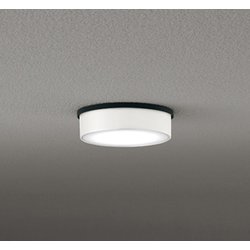 エクステリアライト/昼白色/要電気工事 OG264297NR