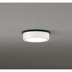 エクステリアライト/温白色/要電気工事 OG264297WR