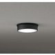 エクステリアライト/昼白色/要電気工事 OG264298NR