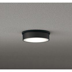 エクステリアライト/温白色/要電気工事 OG264298WR