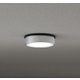エクステリアライト/昼白色/要電気工事 OG264299NR