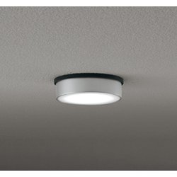 エクステリアライト/昼白色/要電気工事 OG264299NR