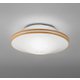 小型シーリングライト/昼白色/要電気工事 OL011250NR