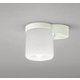 小型シーリングライト/昼白色/要電気工事 OL013379NR