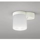小型シーリングライト/昼白色/要電気工事 OL013380NR