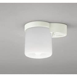 小型シーリングライト/昼白色/要電気工事 OL013380NR