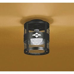 小型シーリングライト/昼白色/要電気工事 OL014086NR