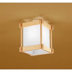 小型シーリングライト/昼白色/要電気工事 OL014195NR