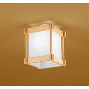 小型シーリングライト/昼白色/要電気工事 OL014195NR
