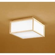 小型シーリングライト/昼白色/要電気工事 OL251845NR