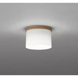 小型シーリングライト/昼白色/要電気工事 OL291269NR