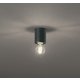 小型シーリングライト/電球色/要電気工事 OL291692LD