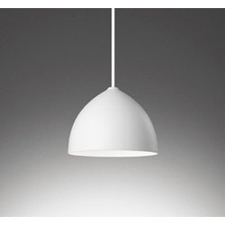 ペンダントライト/昼白色/レール取付専用 OP252729NDR