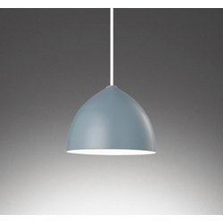 ペンダントライト/昼白色/レール取付専用 OP252731NDR