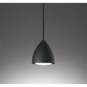 ペンダントライト/昼白色/要電気工事 OP252955NR
